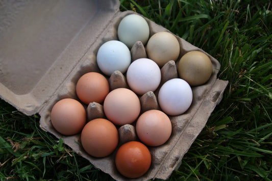Farm Fresh Eggs